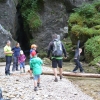 Gebietswanderung Rinnerberger Wasserfall